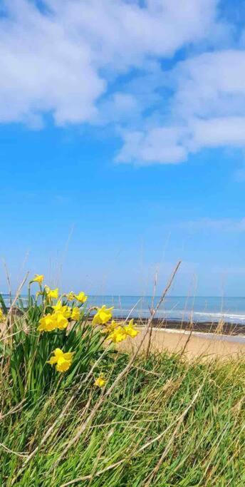 Herne Bay Central - 2 Minutes From Beach Apartment מראה חיצוני תמונה