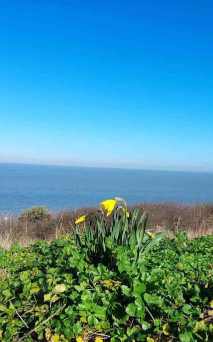 Herne Bay Central - 2 Minutes From Beach Apartment מראה חיצוני תמונה