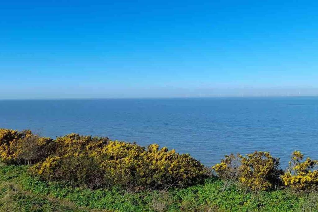 Herne Bay Central - 2 Minutes From Beach Apartment מראה חיצוני תמונה